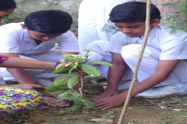 Global Convent School-Plantation