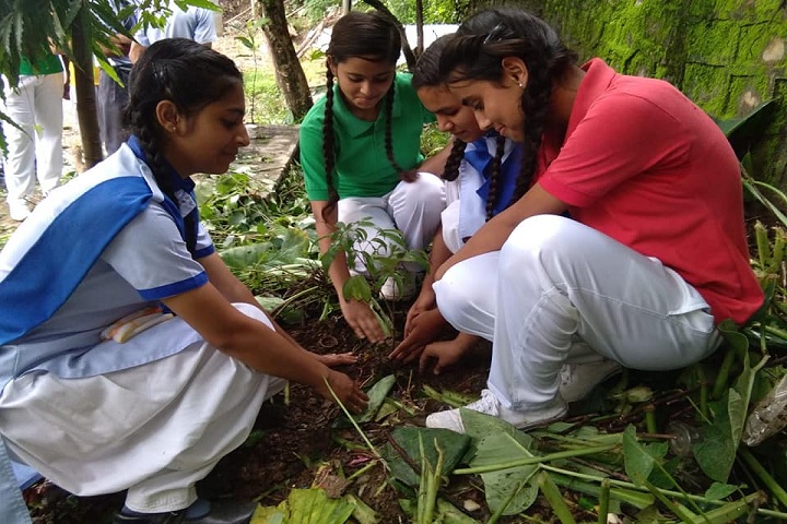 Sunrise Academy - Tree Planting