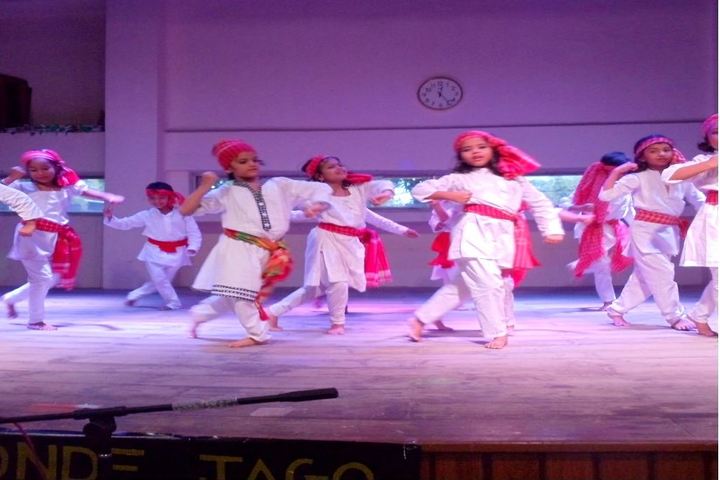 Sri Ram Narayan Singh Memorial High School-Dance Performance