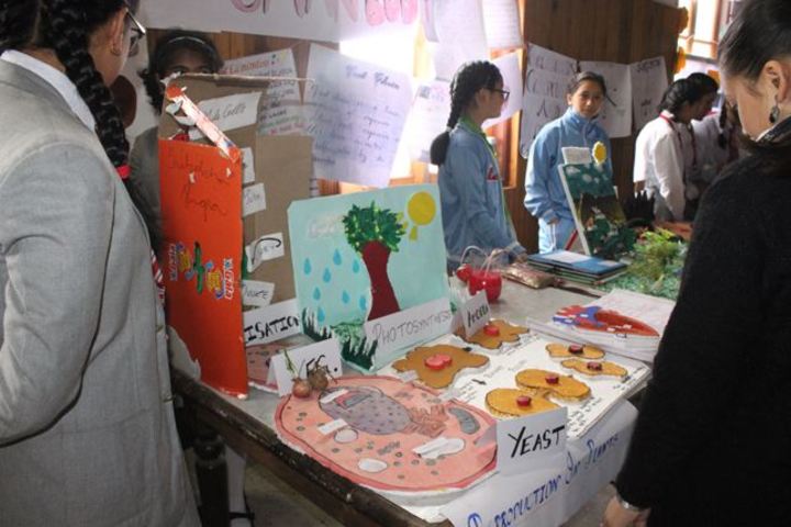 Loreto Convent School-Science And Art Exhibition