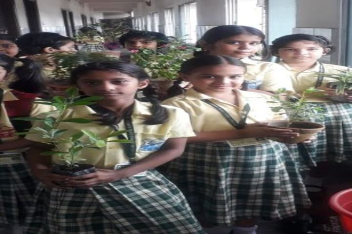 St Agnes Convent School-Environment Day