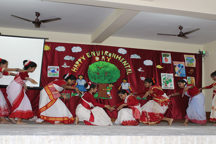 St Mary S Convent School-Environment Day