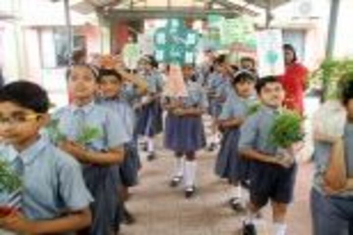 St Stephens School-Plantation