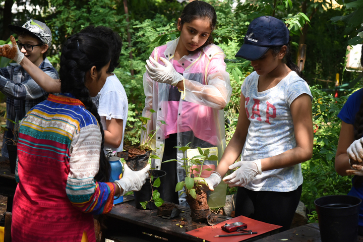 American School of Bombay-Environment Science Class
