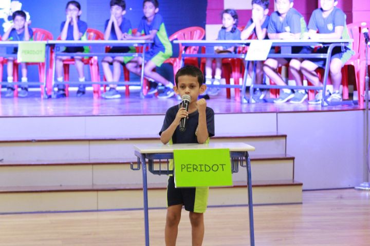 Don Bosco International School-Activity