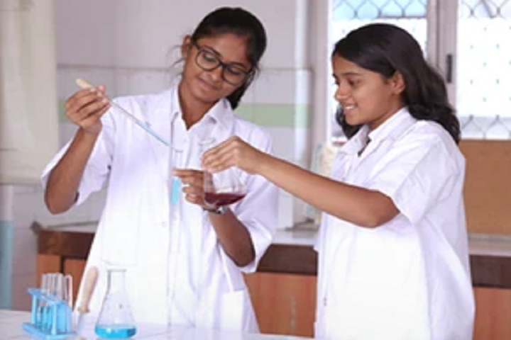 Silver Oaks International School-Lab