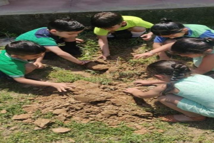 Kimberley The International School-Planting Tree