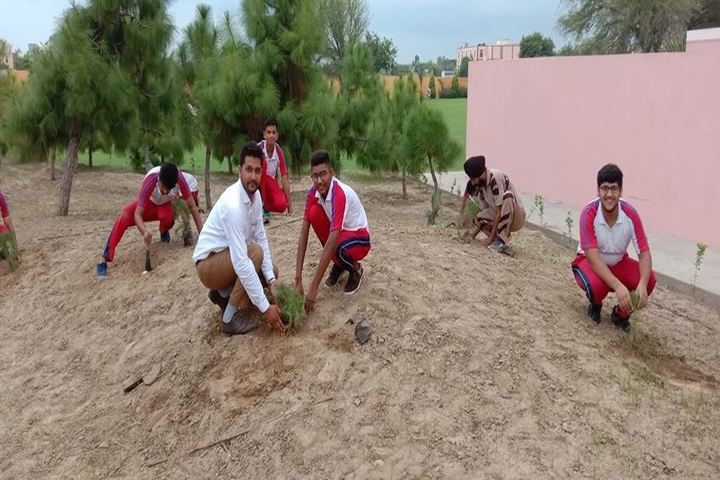 Saint MSG Glorious International School-Planting Tree