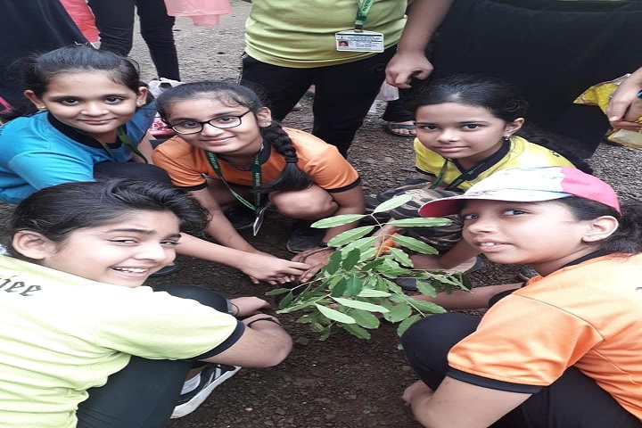 Rustomjee Cambridge International School-Plantations