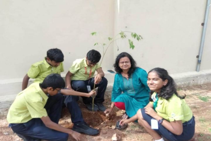 Epistemo Vikas Leadership School-Epistemo Vikas Leadership School-Epistemo Vikas Leadership School-Tree Plantation