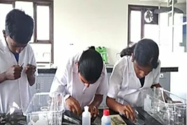 Chettinad Sarvalokaa Education International School-Chemistry Lab