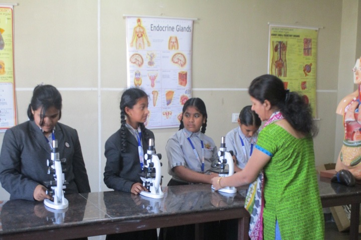 Solitaire Global Schools-Biology Lab
