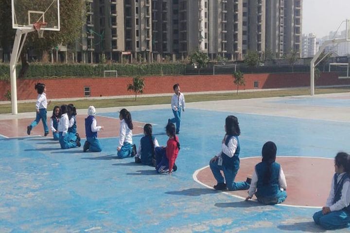 Pacific World School-Basket Ball Ground