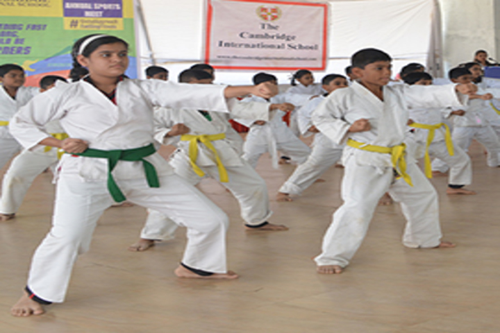 The Cambria International School-Karate