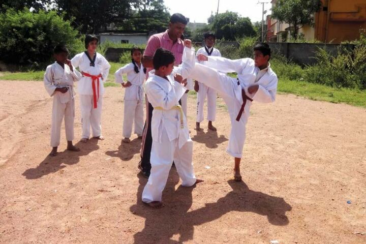 FIITJEE World School-Karate