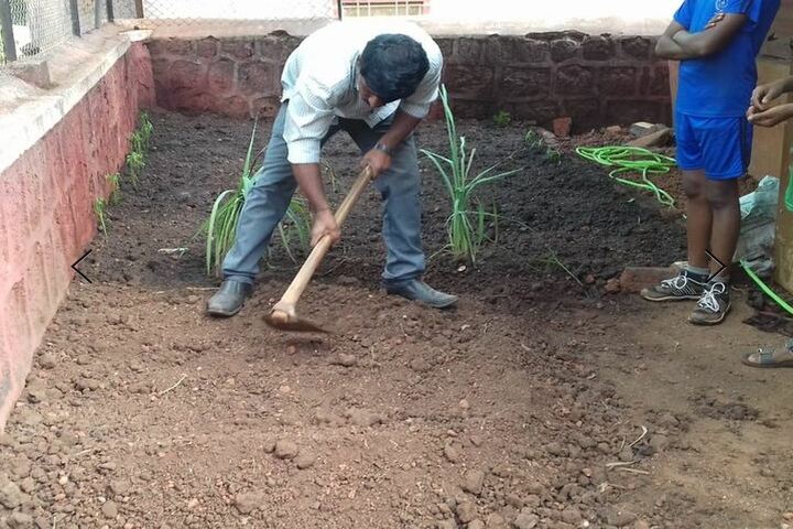 National Public School-Tree Plantation