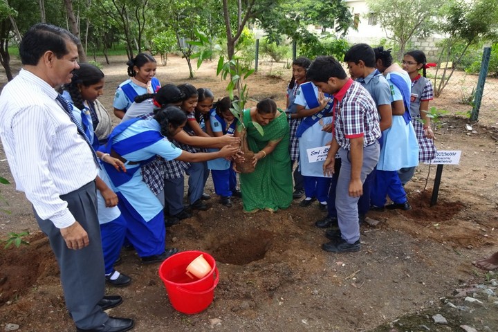 Kendriya Vidyalaya - Plantation
