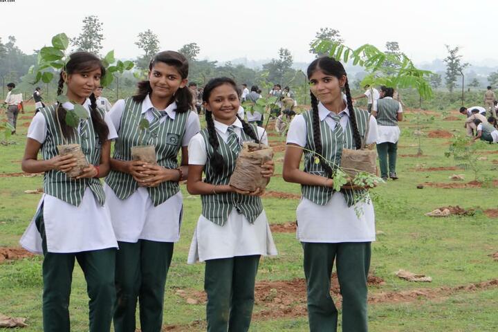 Holy Cross Convent Senior Secondary School-Plantation