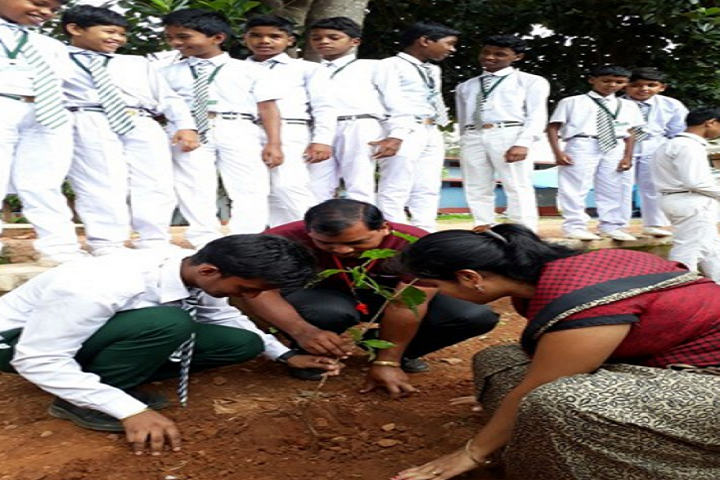 Holy Cross English Medium School-Tree-Plantation