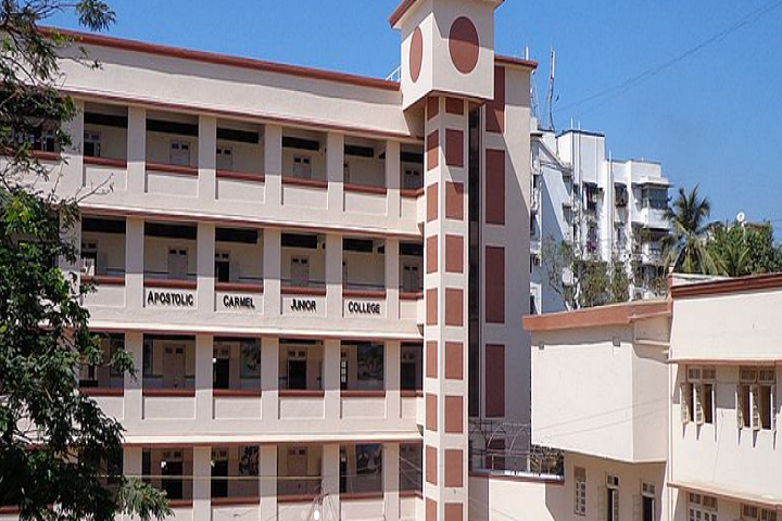 Apostolic Carmel High School and Junior College-School Building