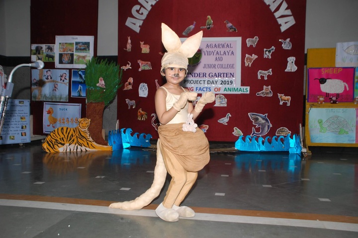 Agarwal Vidyalaya and Junior College-Fancy Dress