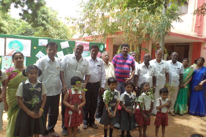 Vivekananda Vidyalaya-Environmental Day