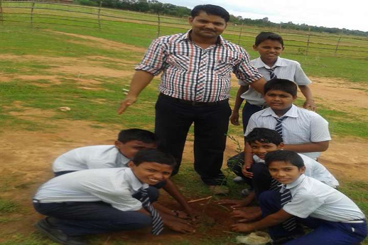 Jawahar Navodaya Vidyalaya-Plantation