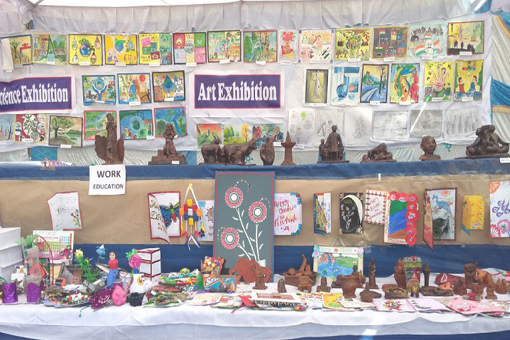 Jawahar Navodaya Vidyalaya-Art Exhibition