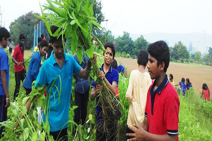 Jawahar Navodaya Vidyalaya-Planatation