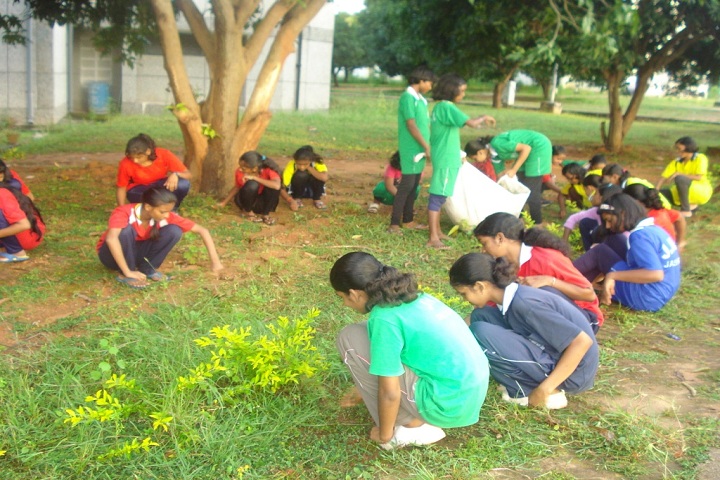 Jawahar Navodaya Vidyalaya Jashpur-tree plantation