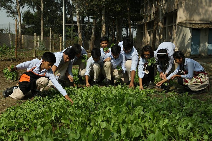 Kaanger Valley Academy-tree plantation
