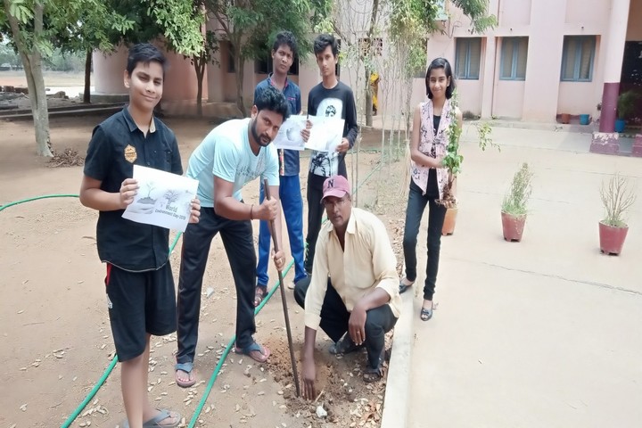 Kendriya Vidyalaya - Plantation