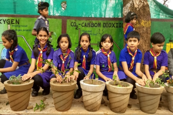 Kendriya Vidyalaya Kirandul-Tree plantation
