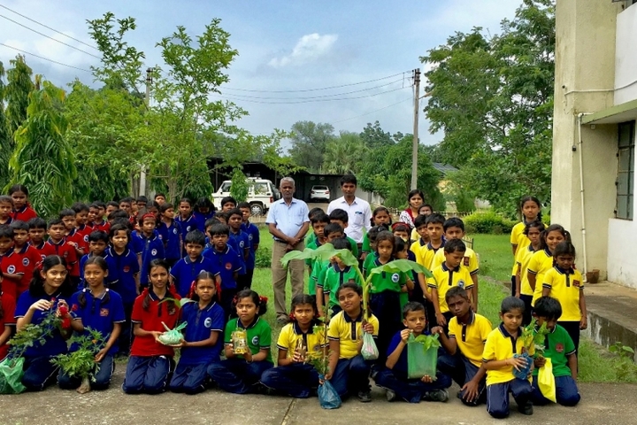 KENDRIYA VIDYALAYA DANTEWADA-tree plantation