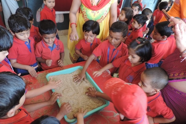 KRISHNA PUBLIC SCHOOL,BILASPUR-activity