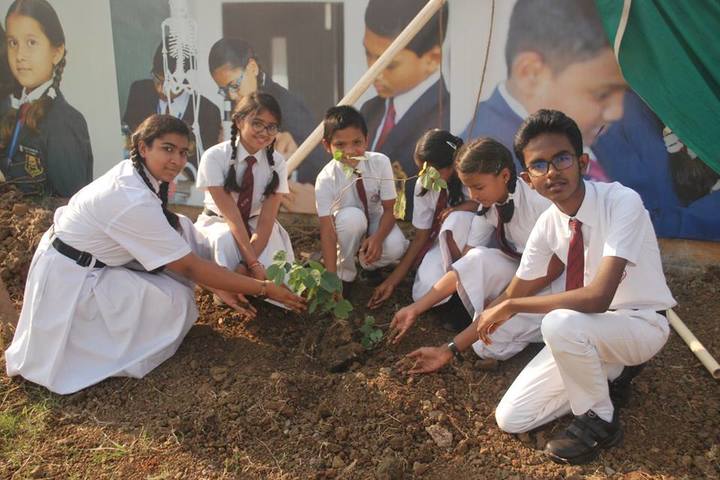 KRISHNA PUBLIC SCHOOL,PULGAON, DURG-tree plantation