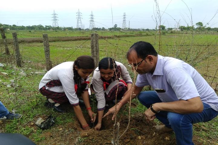 lions dav public school-tree plantation
