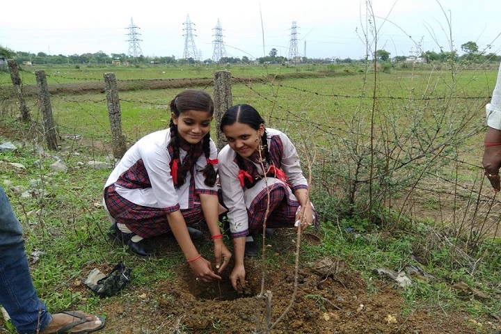 Lions Dav Public School-Tree Plantation1