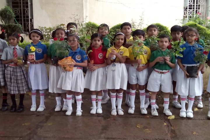 Little Flower Higher secondary School-tree plantation