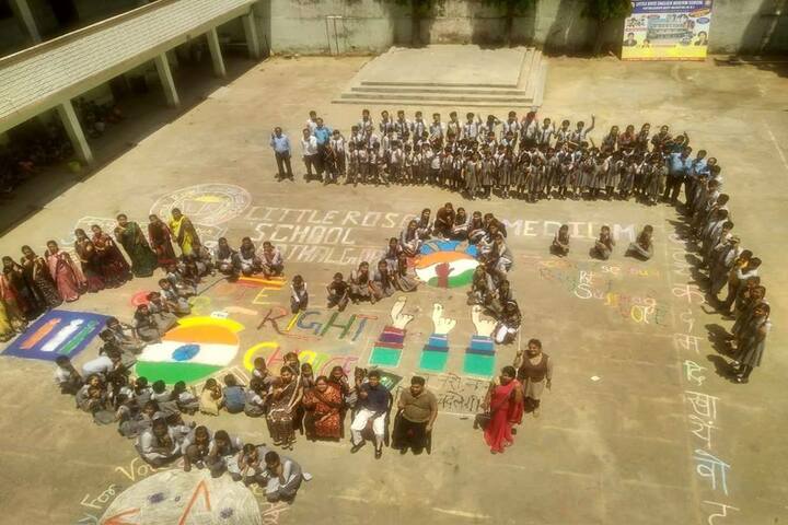 Little rose english medium CBSE school,pathalgaon-activity