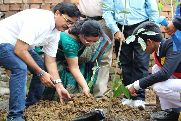 M G M Higher Secondary School-Tree Plantation1