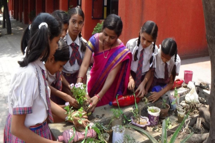 Monnet DAV public school-tree plantation