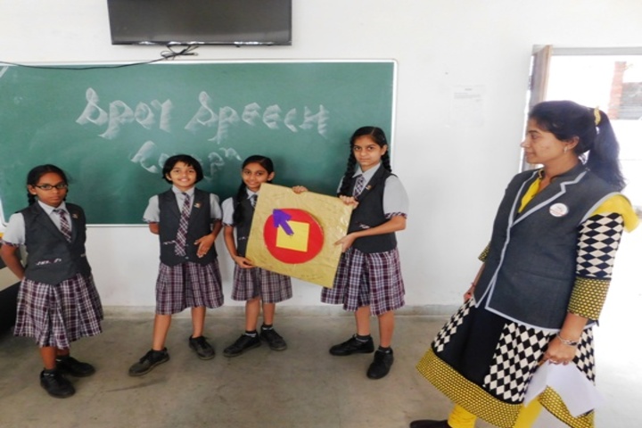 NEERAJ BAJPAYEE INTERNATIONAL SCHOOL-activity