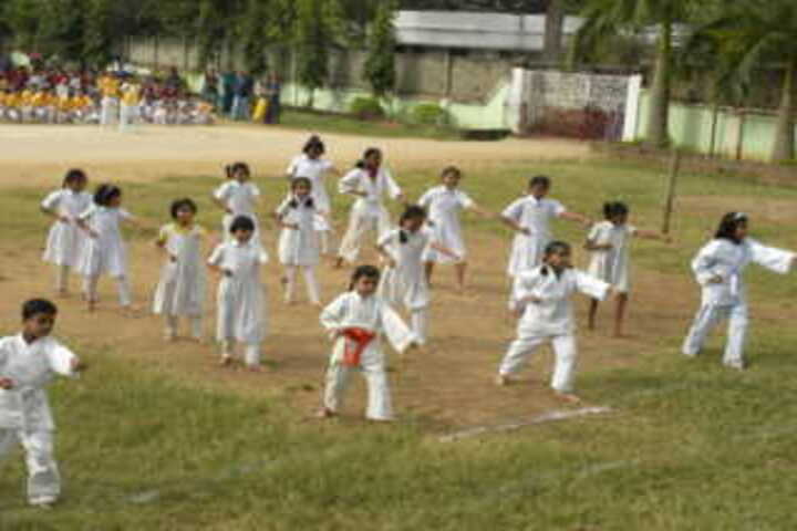 Nirmal Higher Secondary School-Karatte