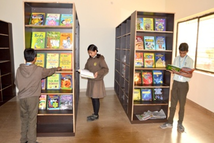 Sadhu Ram Vidya Mandir-Library