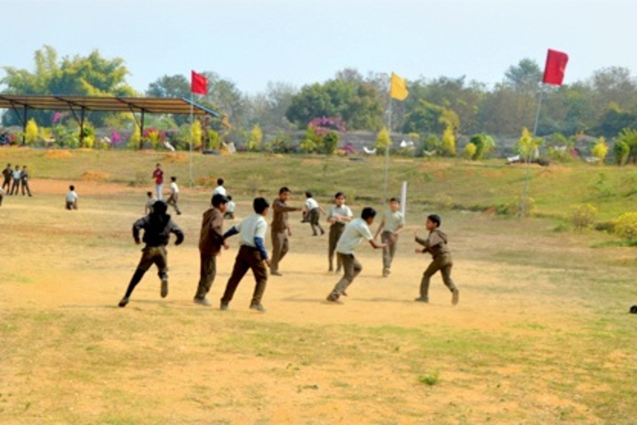 Sadhu Ram Vidya Mandir-Play Ground