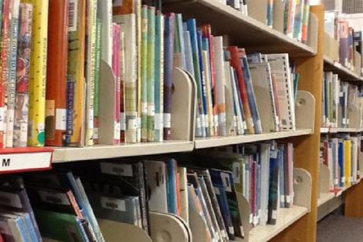 Sadhu Ram Vidya Mandir-Library