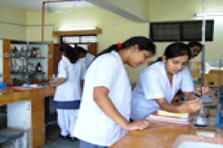 Saint Harkewal Vidyapeeth High School-Chemistry Lab
