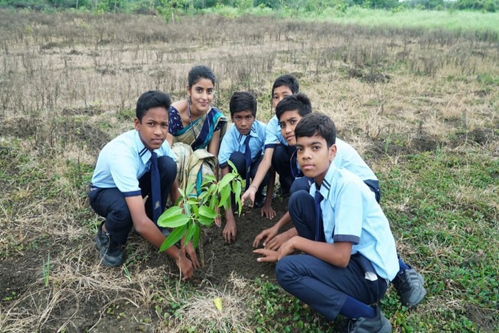 Sanskar City International School-Tree Plantation