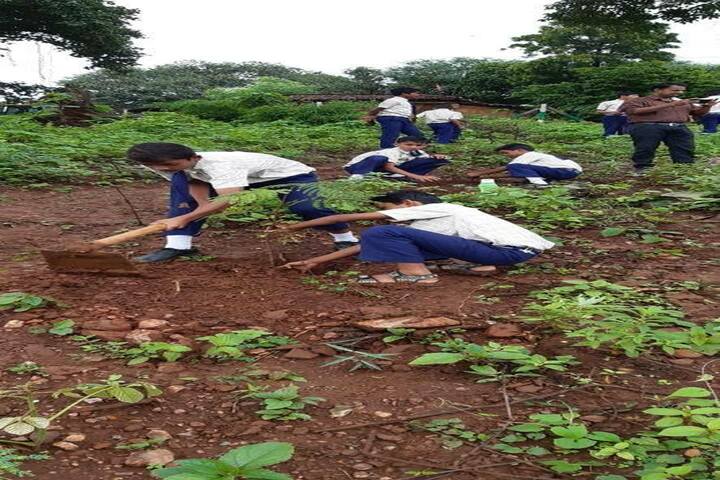 Shri Sai Baba School-Plantation